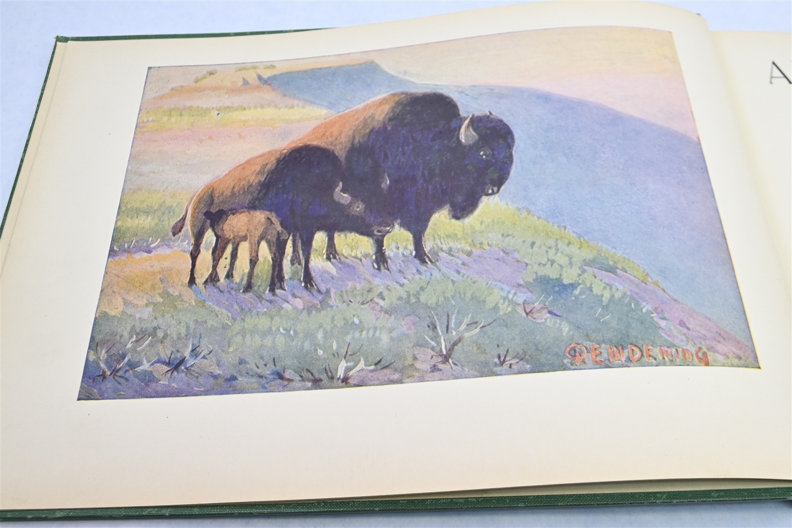 1916 American Animal Life Edwin Willard Deming Frederick A. Stokes Company HC