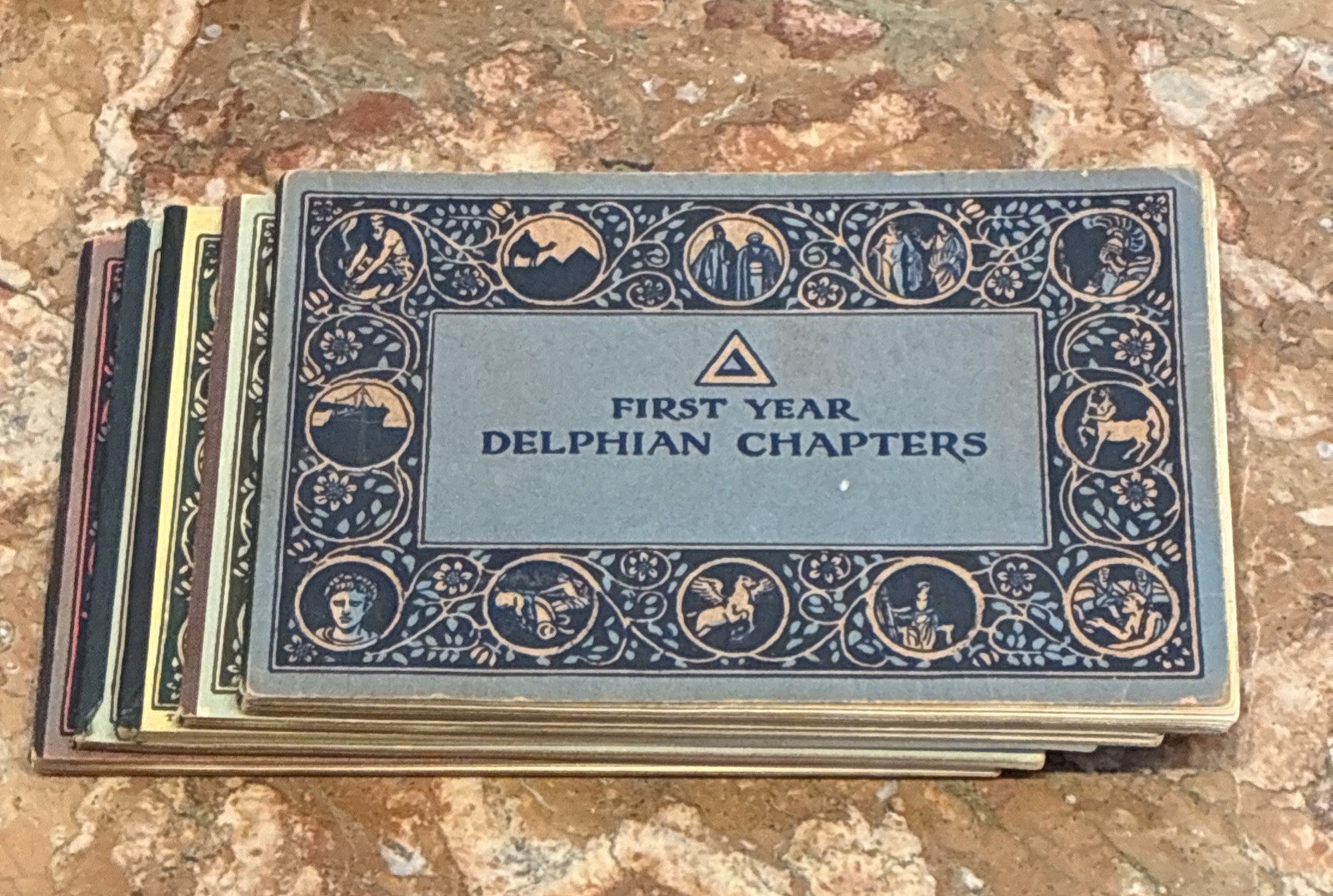 Book Set Delphian Text + Workbooks Women Education Illustrated Antique Complete