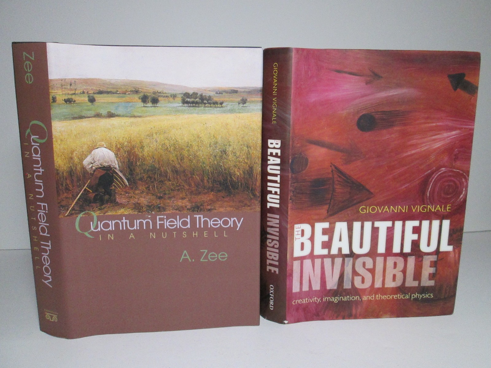 THEORETICAL PHYSICS Book Lot Quantum Field Theory Quarks Leptons Particle Pure +