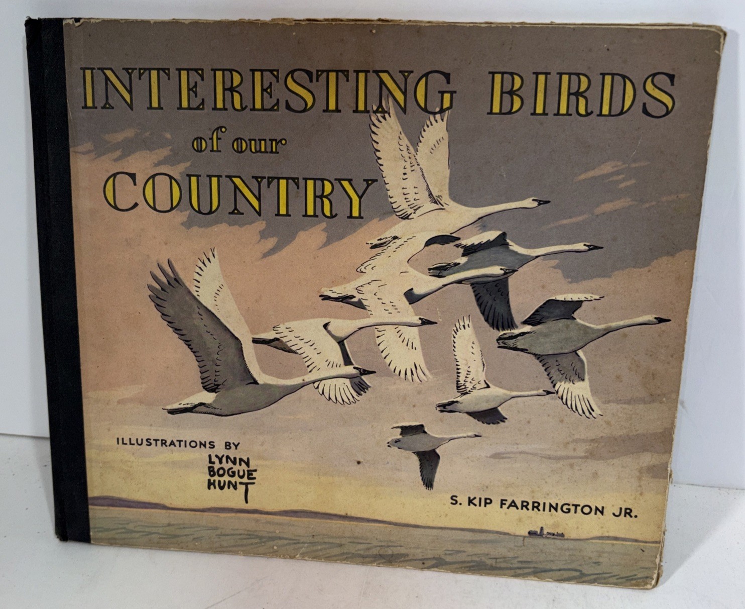 Interesting Birds Of Our Country By Lynn Bogue Hunt, Vintage Hardcover