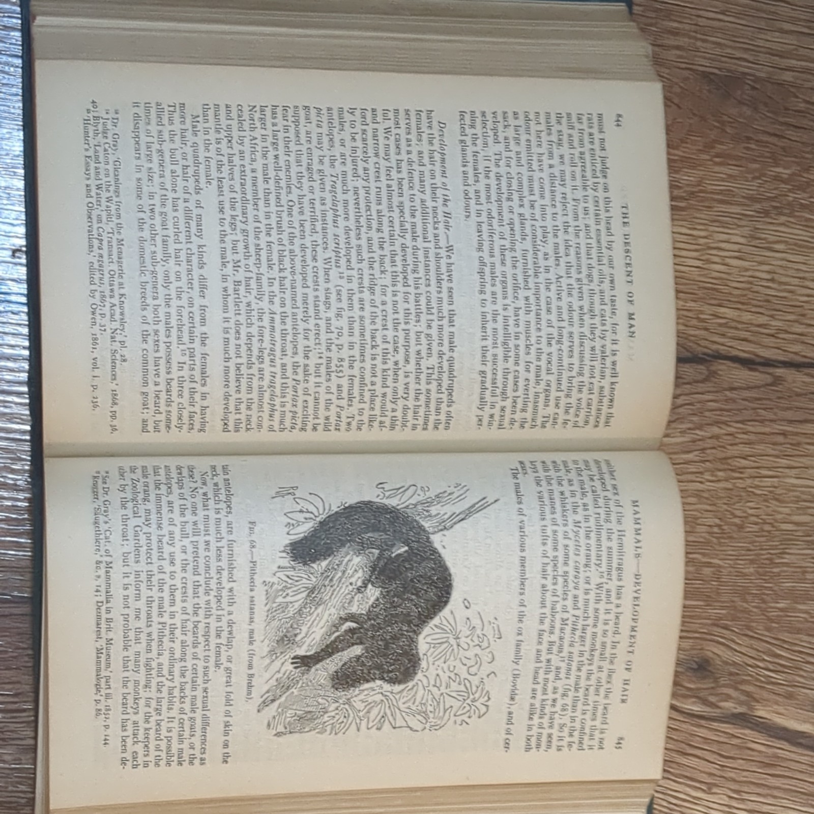 Charles Darwin The Origin of Species & The Descent of Man Hardcover Book 6th Ed