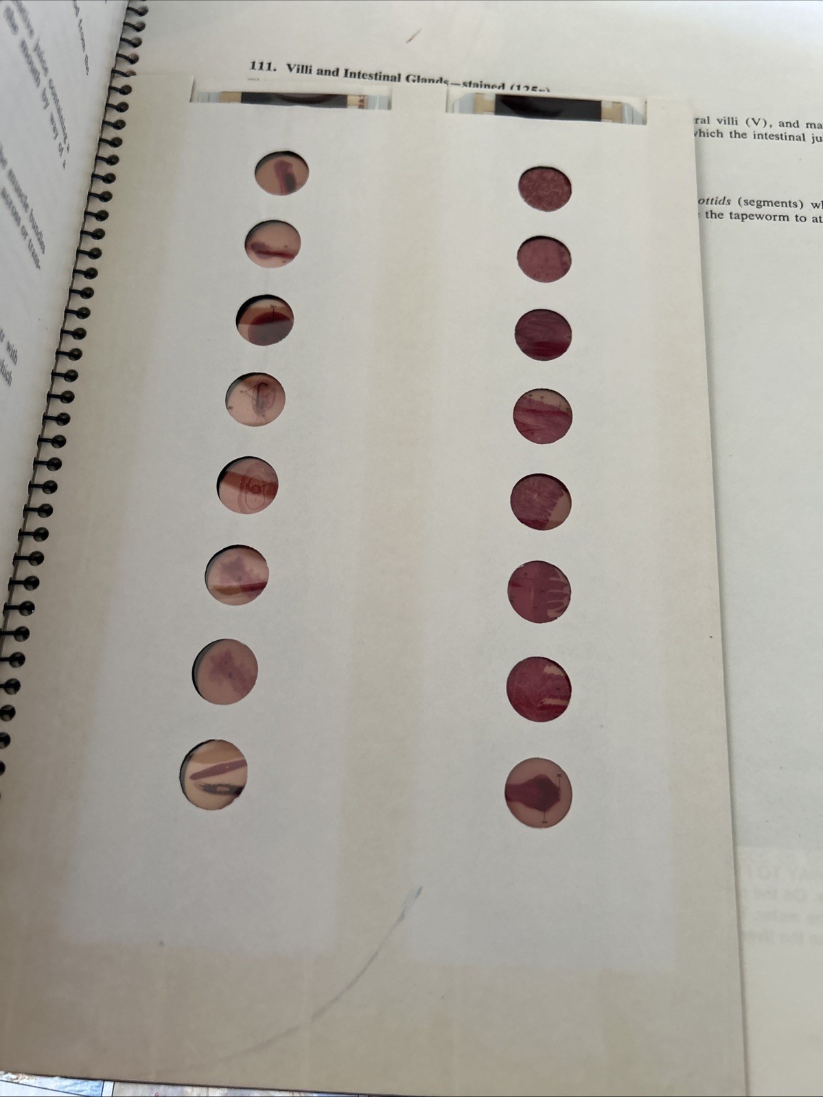 1-12 Micrograph 7401 w/slides Wonders of Life Folio The Cell spiral bound 1963