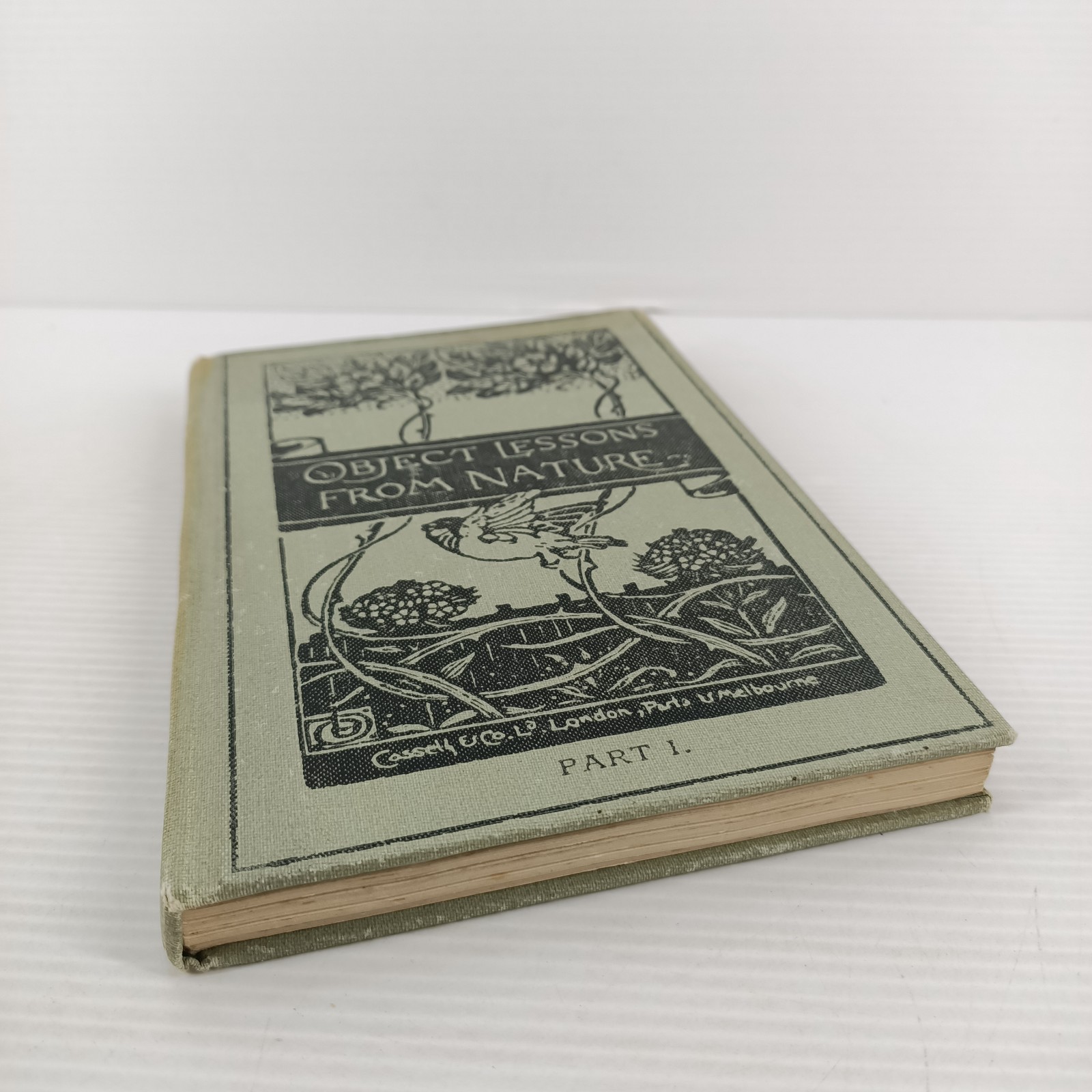 Object Lessons From Nature Part 1 A First Book Of Science L C Miall 1911 Antique