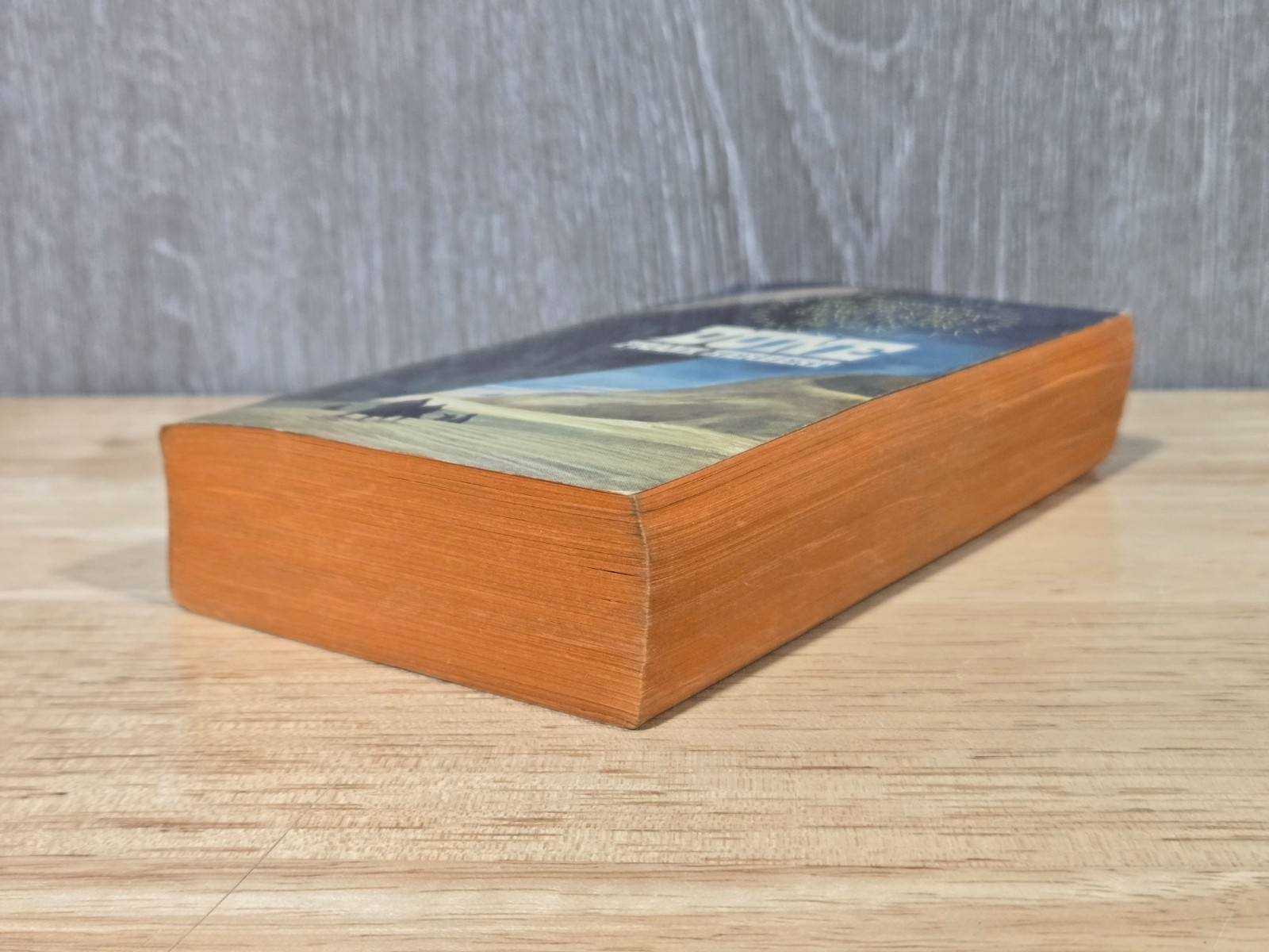 Dune by Frank Herbert Ace First Paperback Edition N-3 95¢ Sci-Fi Classic