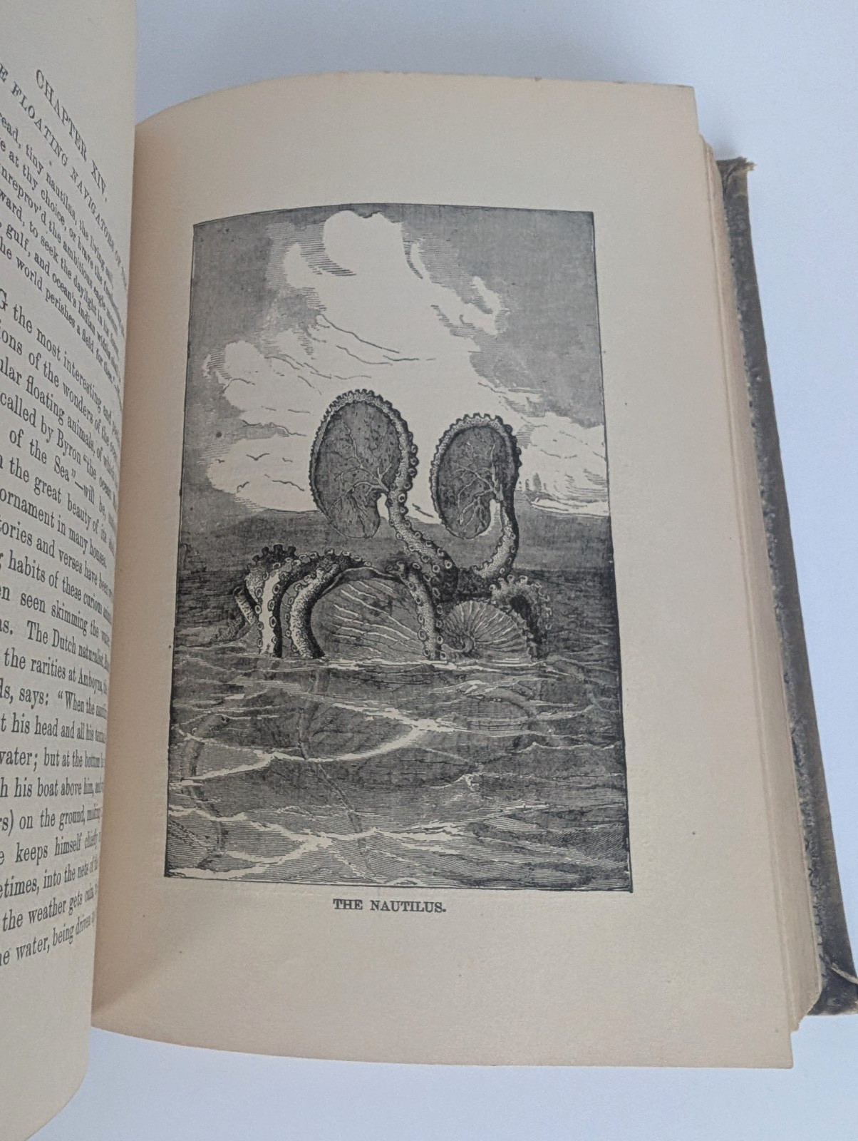 1886 The Water World J.W. Van Dervoort Illustrated Victorian Ocean Exploration