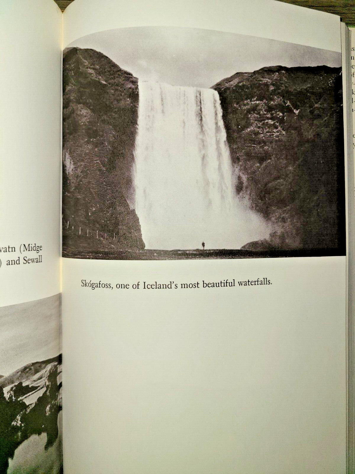 SIGNED! Vtg HC book, Iceland Summer by George Miksch Sutton, 1961