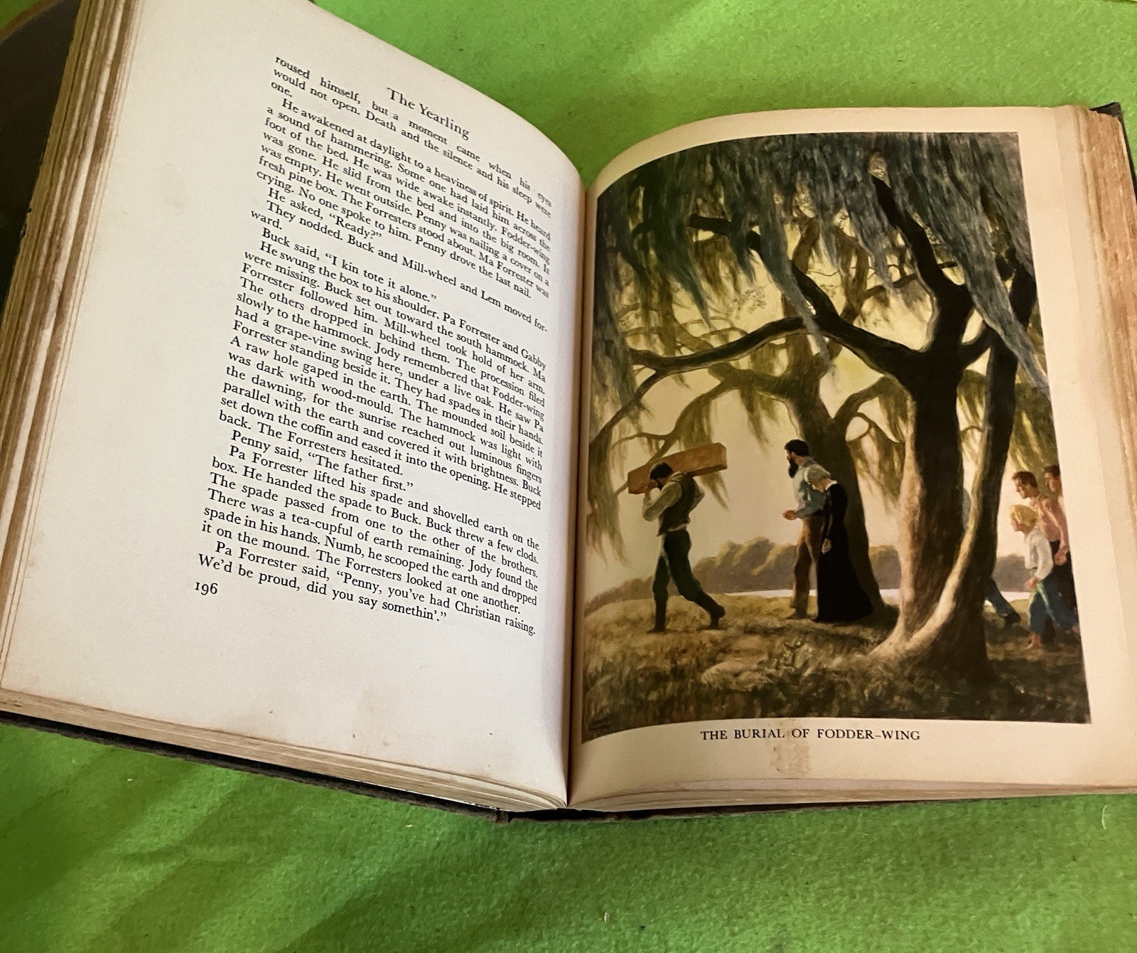 The Yearling by M. K. Rawlings 1939, NC Wyeth Illustrations. Florida History