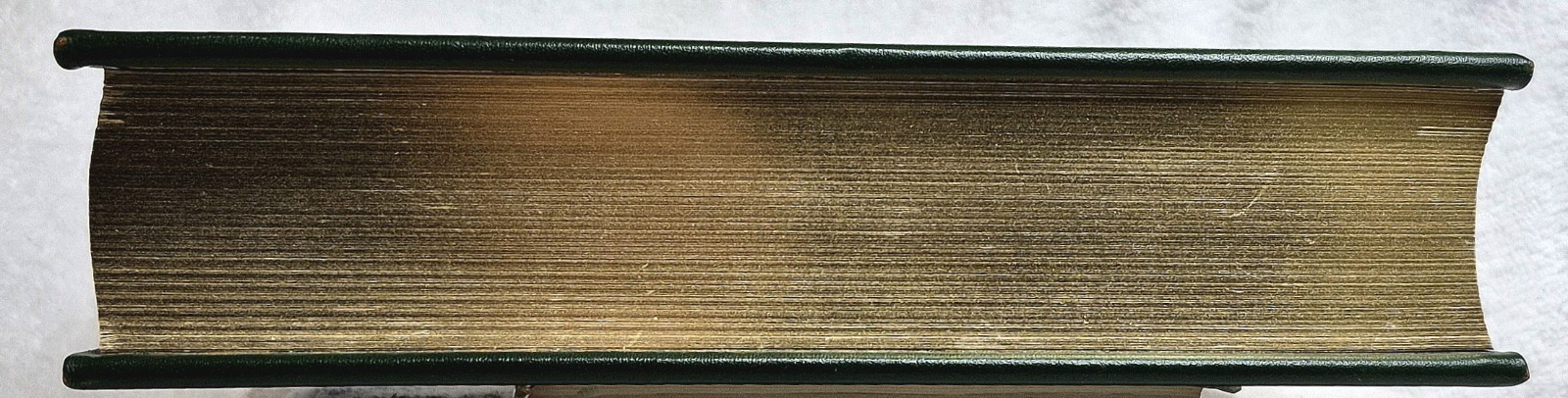 Principles of Anatomy of the Foot (Wood Jones • 1986 HC • No. 350/7500) • VG