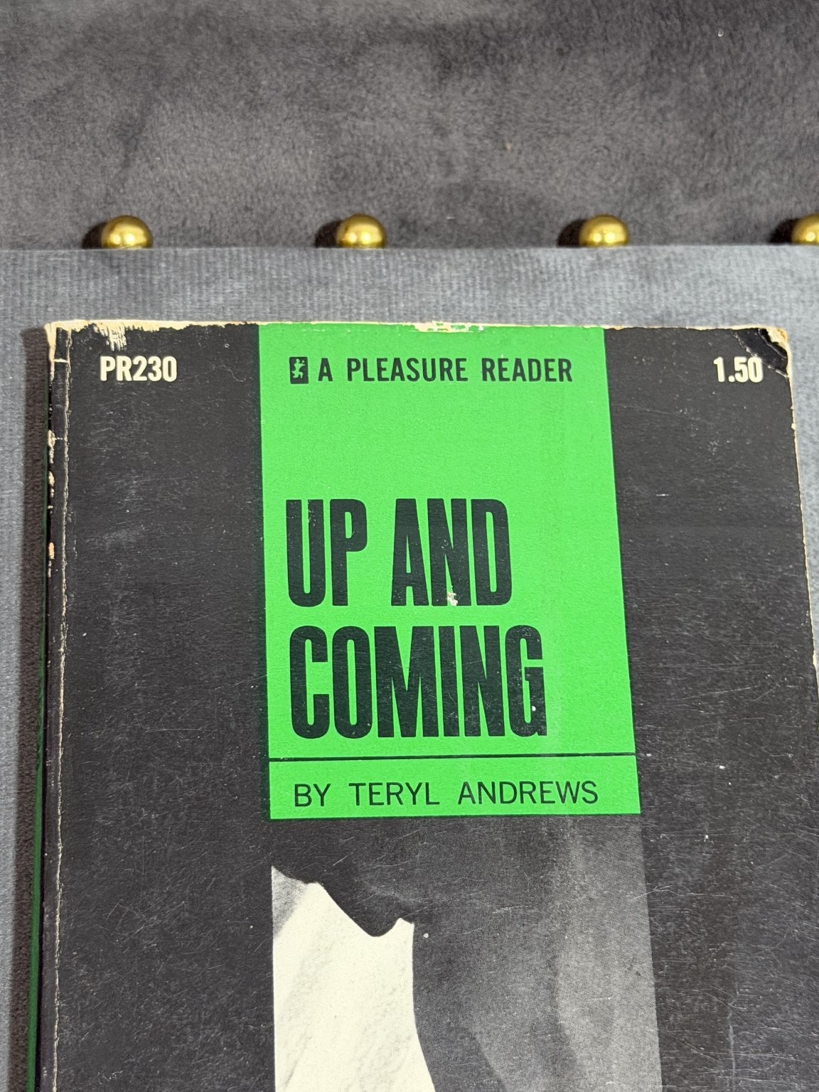 UP AND COMING Teryl Andrews Pleasure Reader PR230 1969 Vintage Adult Pulp Gay