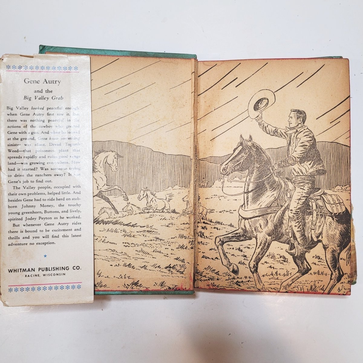 Vintage Hardcover Whitman Publishing Company books – lot of 23, from 1942 – 1966