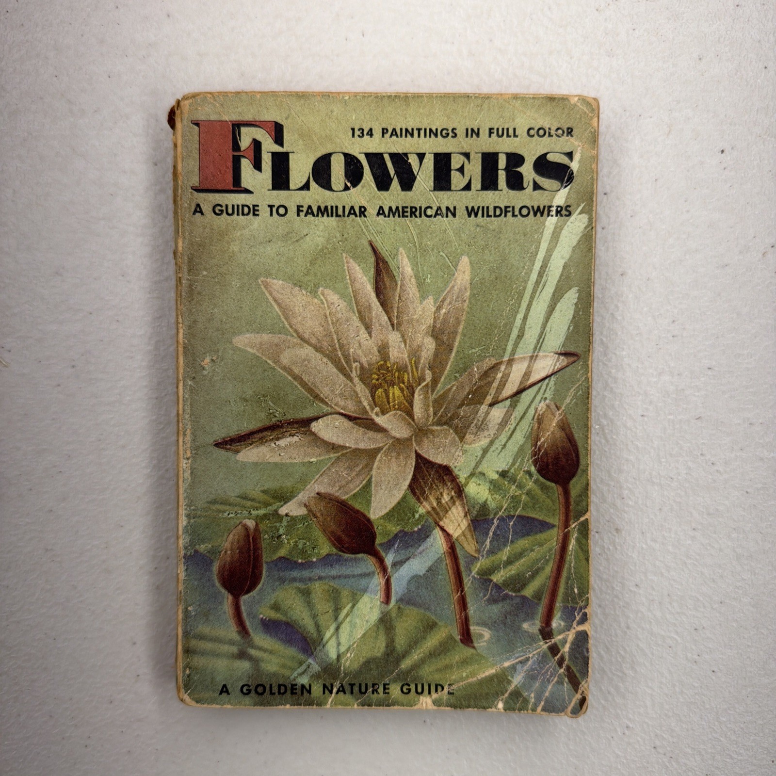 Flowers A Guide To Familiar American Wildflowers Golden Nature Guide Book 1950