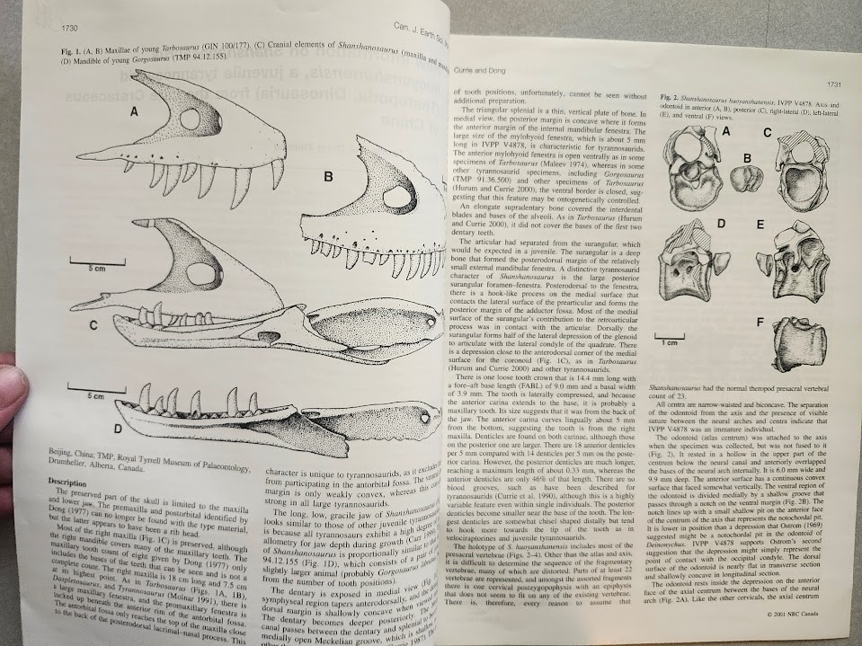 Philip J. Currie & Others Cretaceous Dinosaur Fossil +MORE Reprint Collection !!