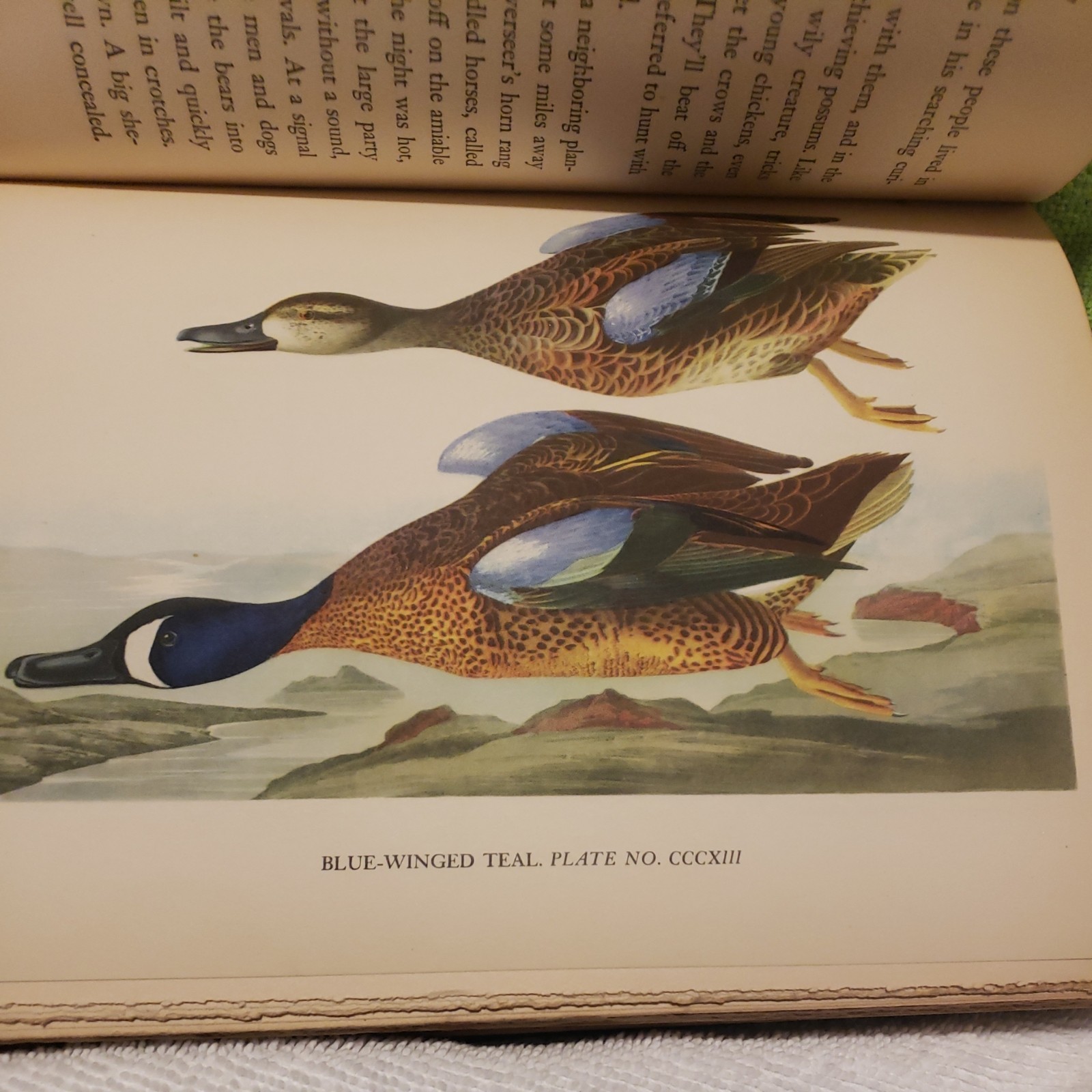 Audubon by Constance Rourke HC Illus. James MacDonald 1936 Vintage