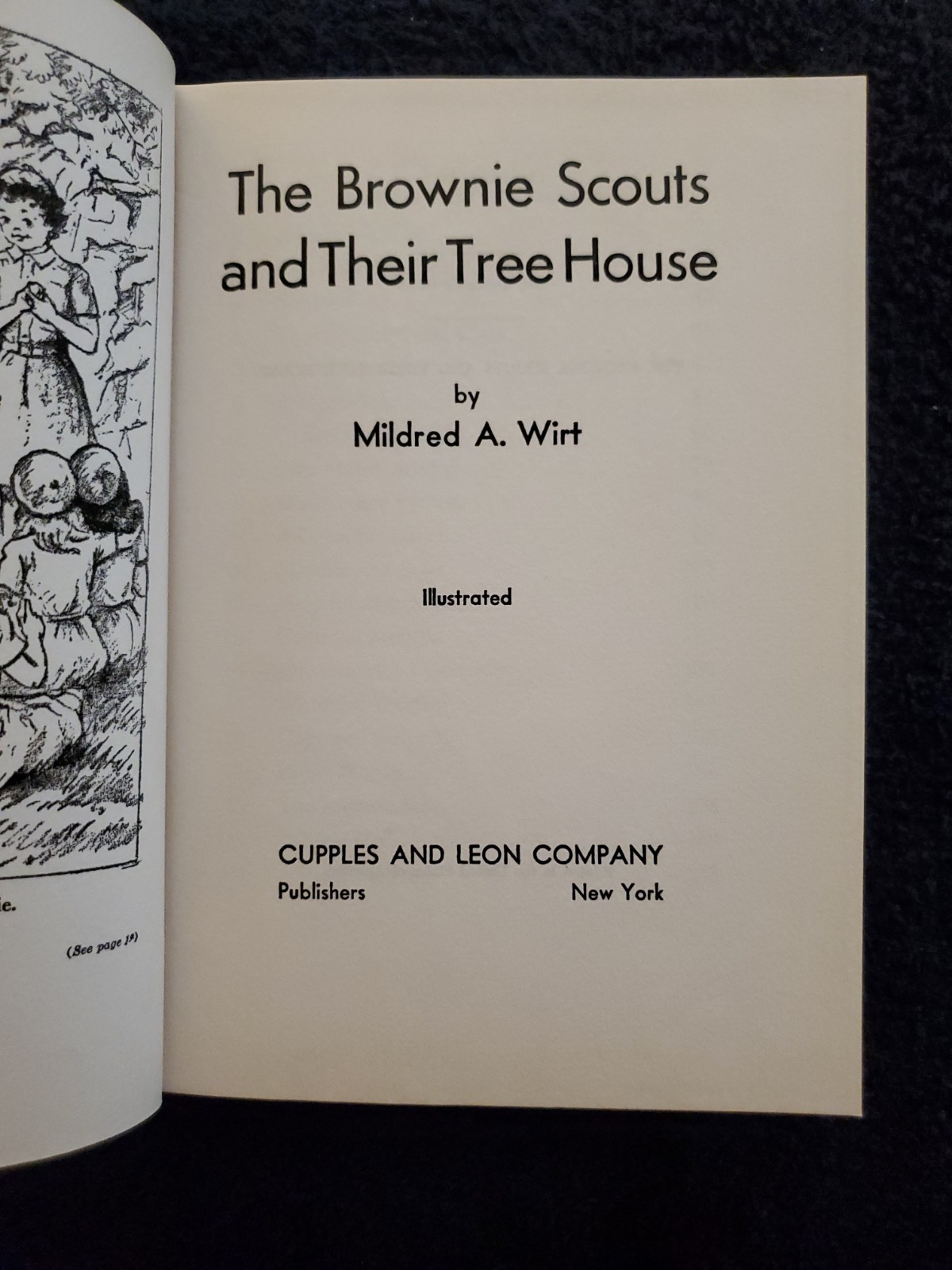 Brownie Scouts Mildred A. Wirt Volumes 1-6