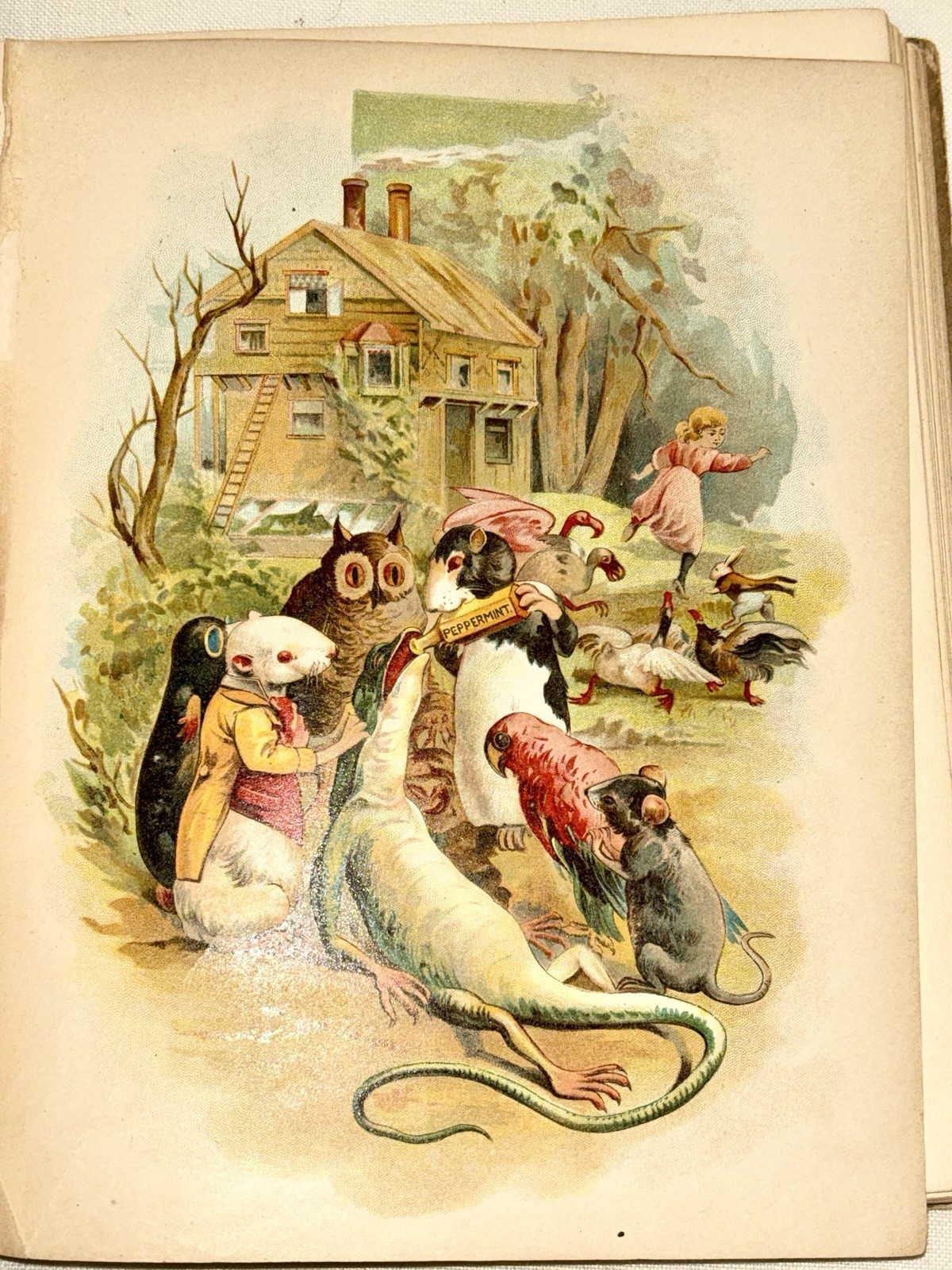 1898 Rare Antique Alice in Wonderland & Through the Looking Glass Lothrop Boston