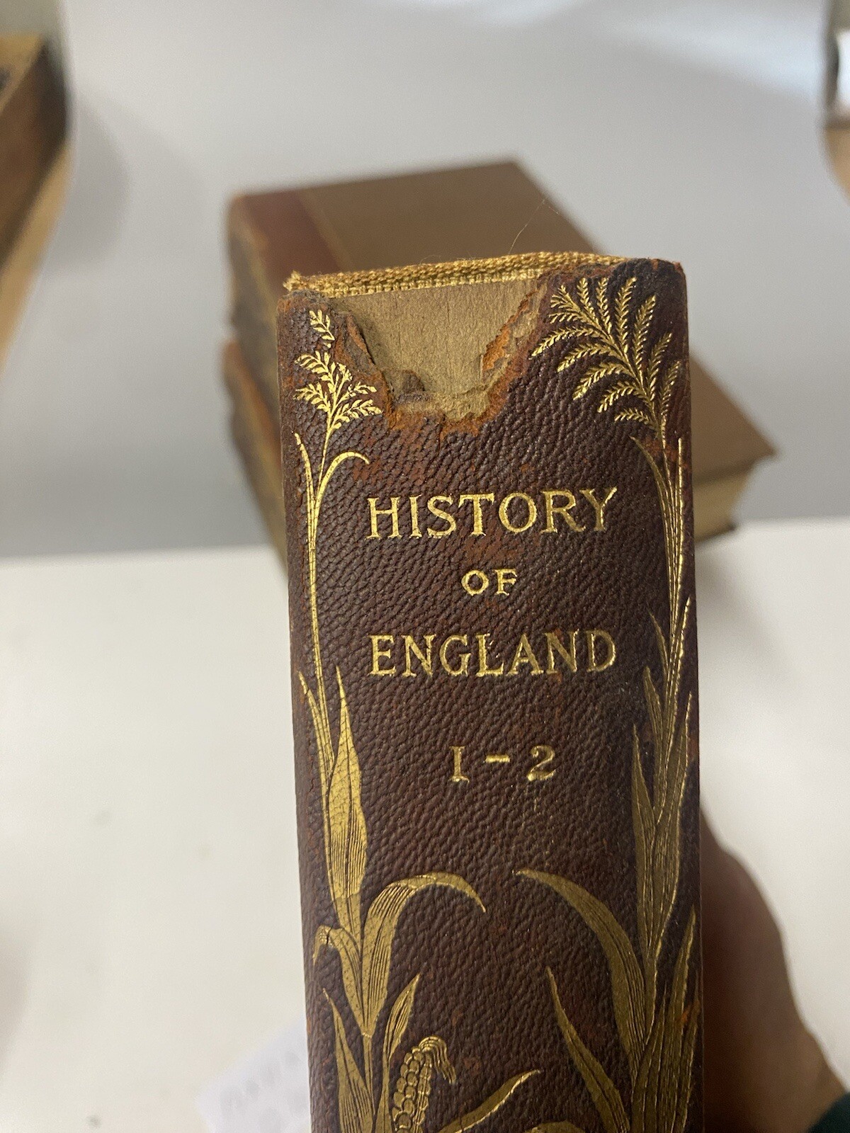 RARE 2 Sets 1898 Miscellaneous Works & The History of England Macaulay 372/1000