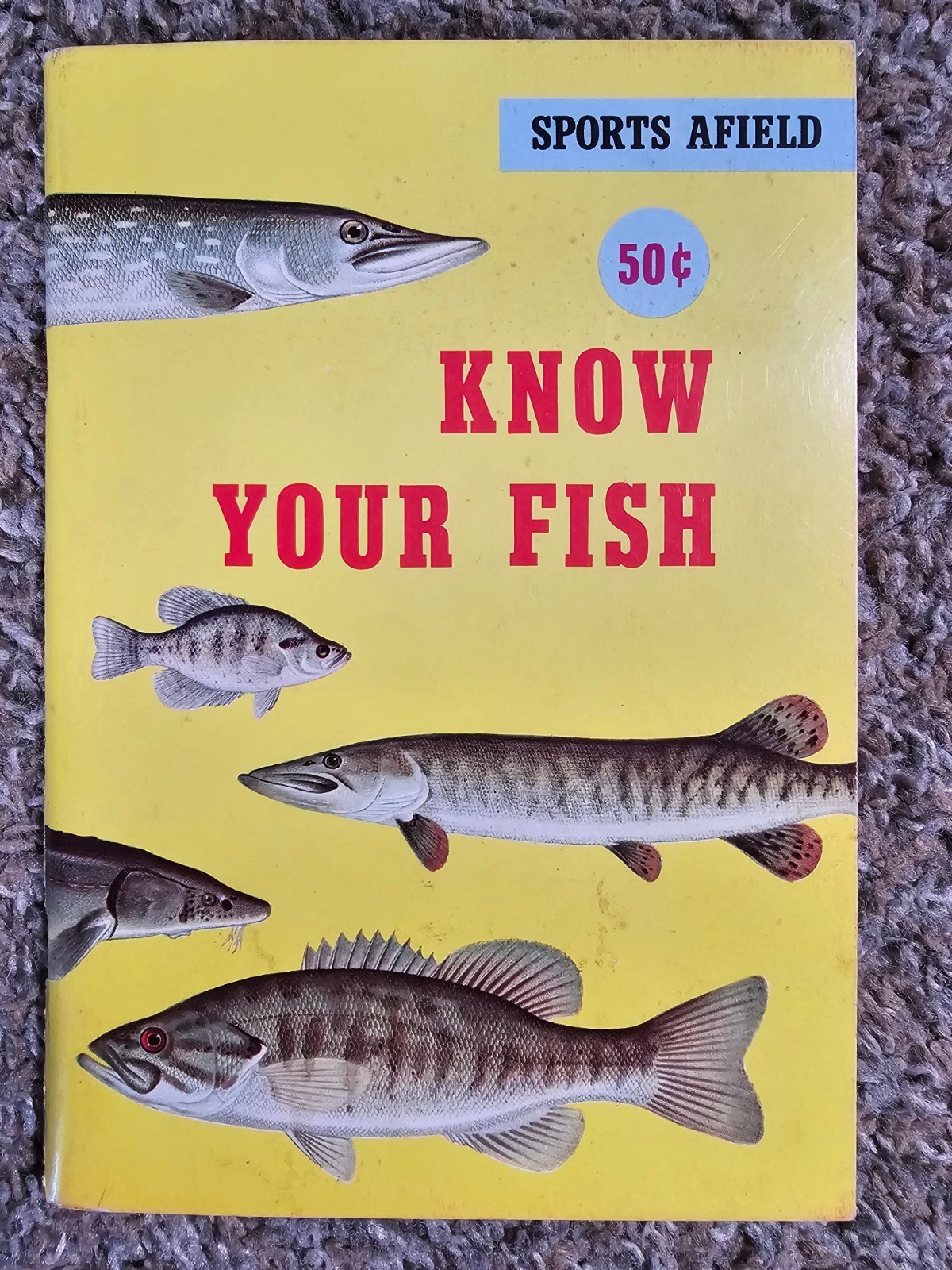 Sports Afield Know Your Fish Guide Book Vintage 1960 Tom Dolan