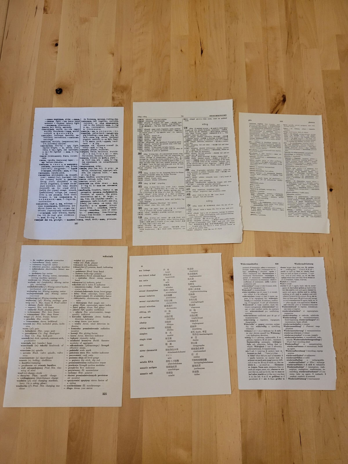 Vintage Foreign Language to English Book Pages (Lot of 400)