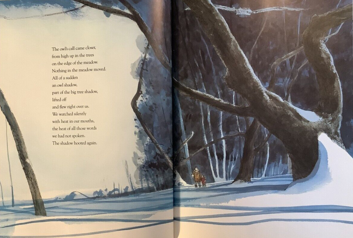 VG 1987 Hardcover in DJ Caldecott Winner Owl Moon John Schoenherr Jane Yolen