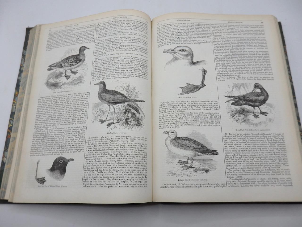 1854 ENGLISH CYCLOPAEDIA of NATURAL HISTORY Charles Knight – COMPLETE 4 VOLS.