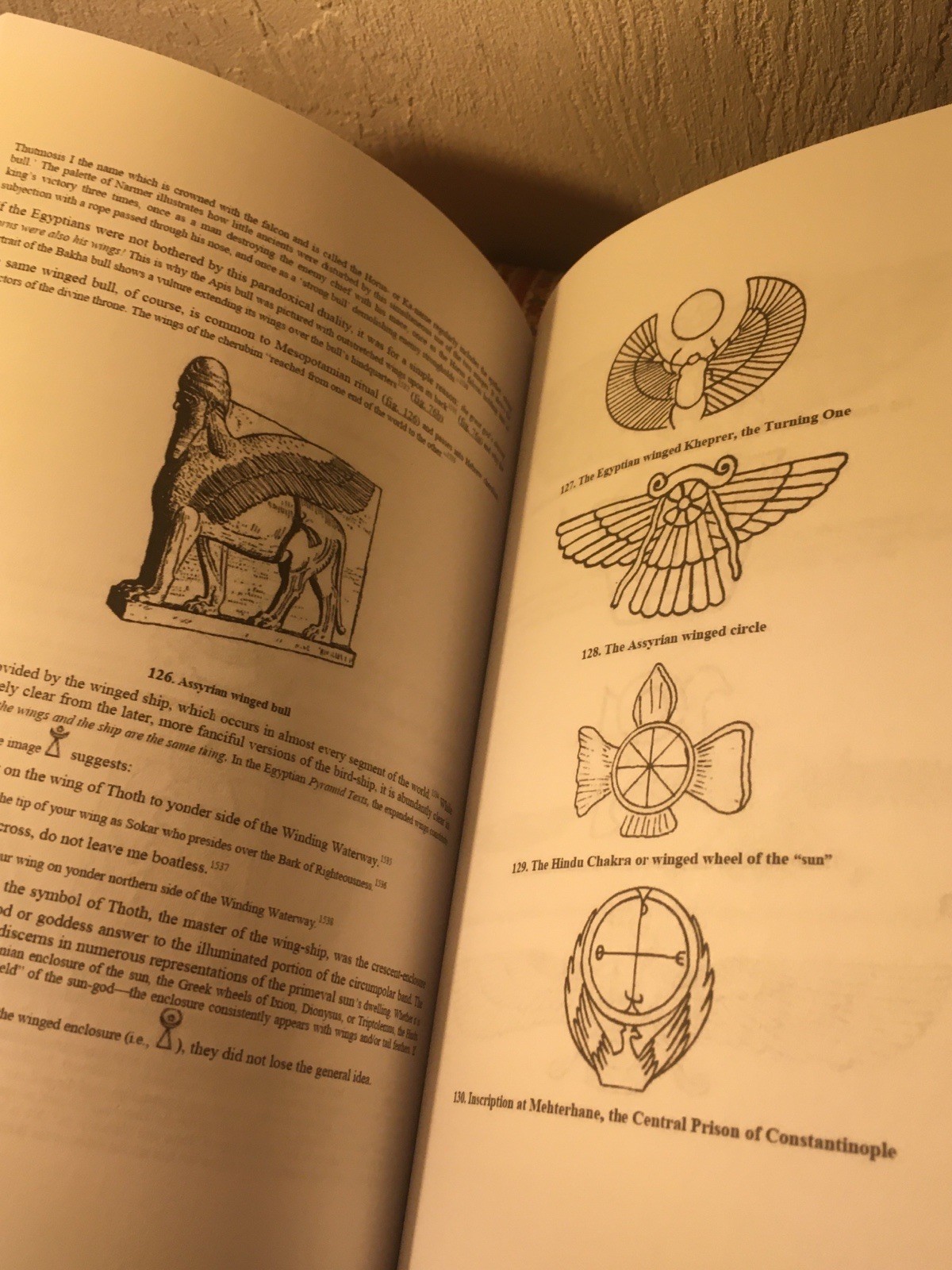 The Saturn Myth ~ David N. Talbott OCCULT SYMBOLISM CATACLYSM VELIKOVSKY GODS