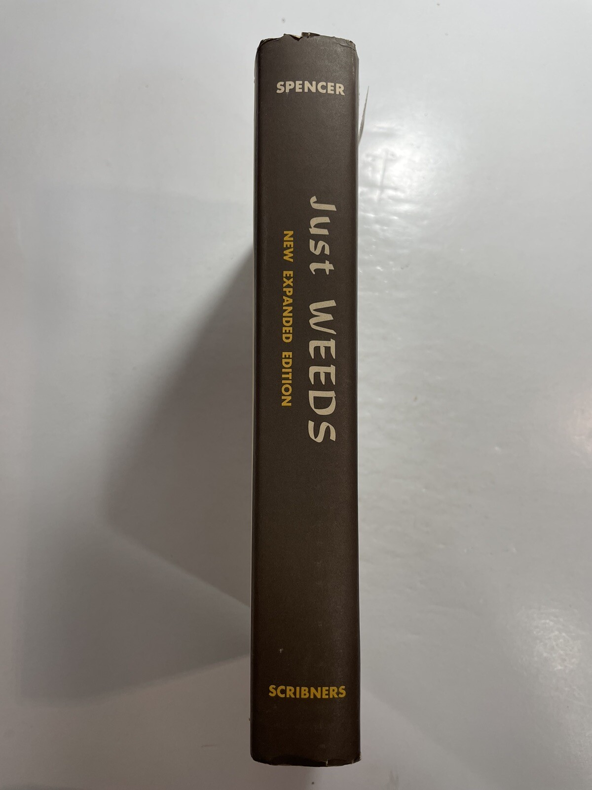 Edwin Rollin SPENCER Just Weeds 1957 Emma Bergdolt BCE Gardening Bergdolt draw