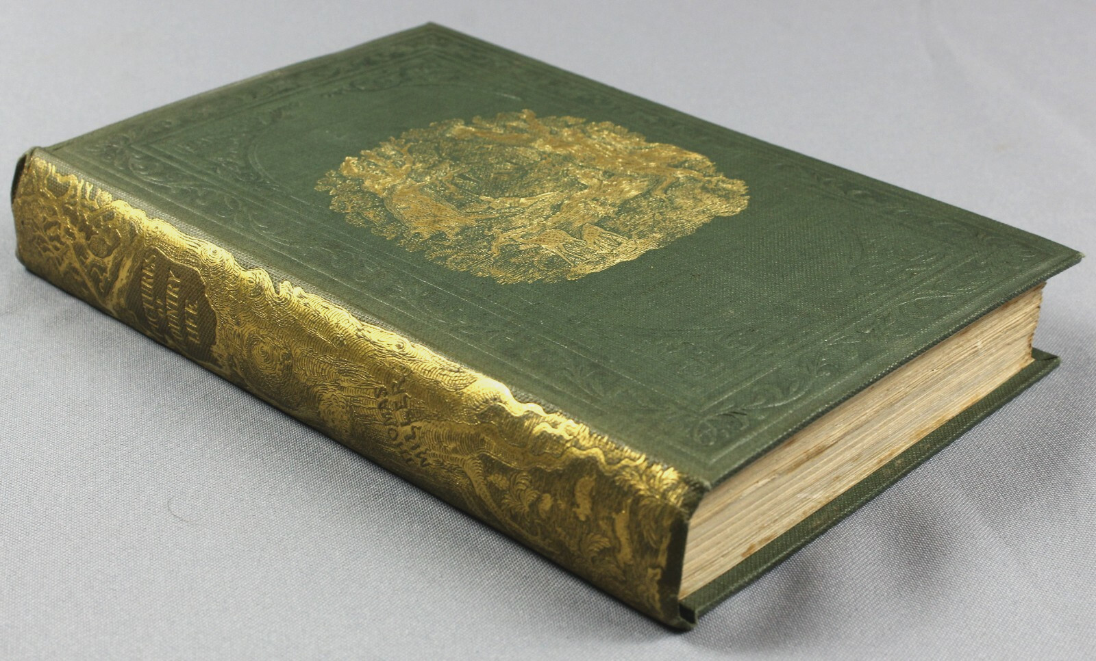 Fine gilded cloth BINDING – Thomas Miller – 1847 – Country Life Summer Rambles