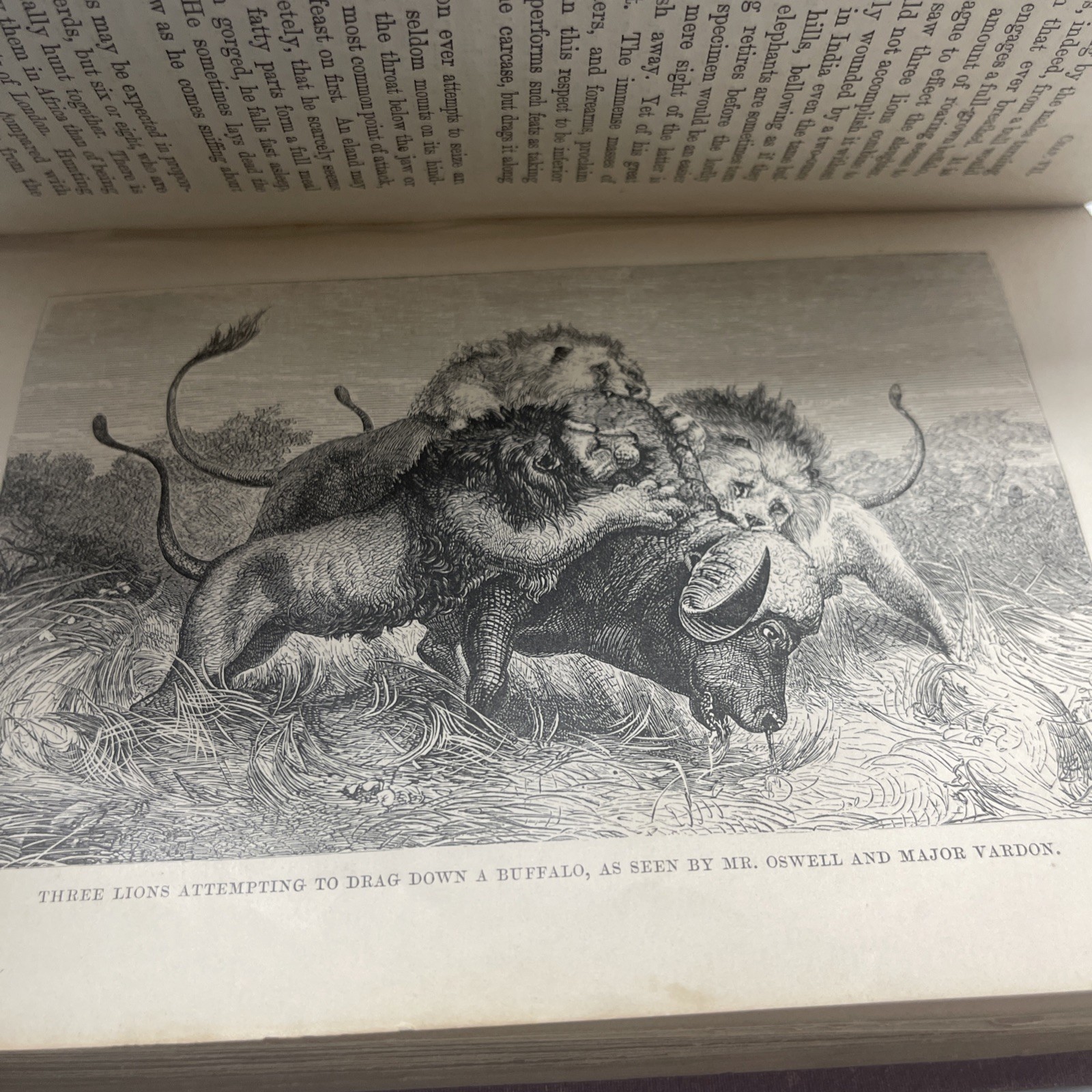 A Popular Account of Missionary Travels Researches in S. Africa Livingstone 1861
