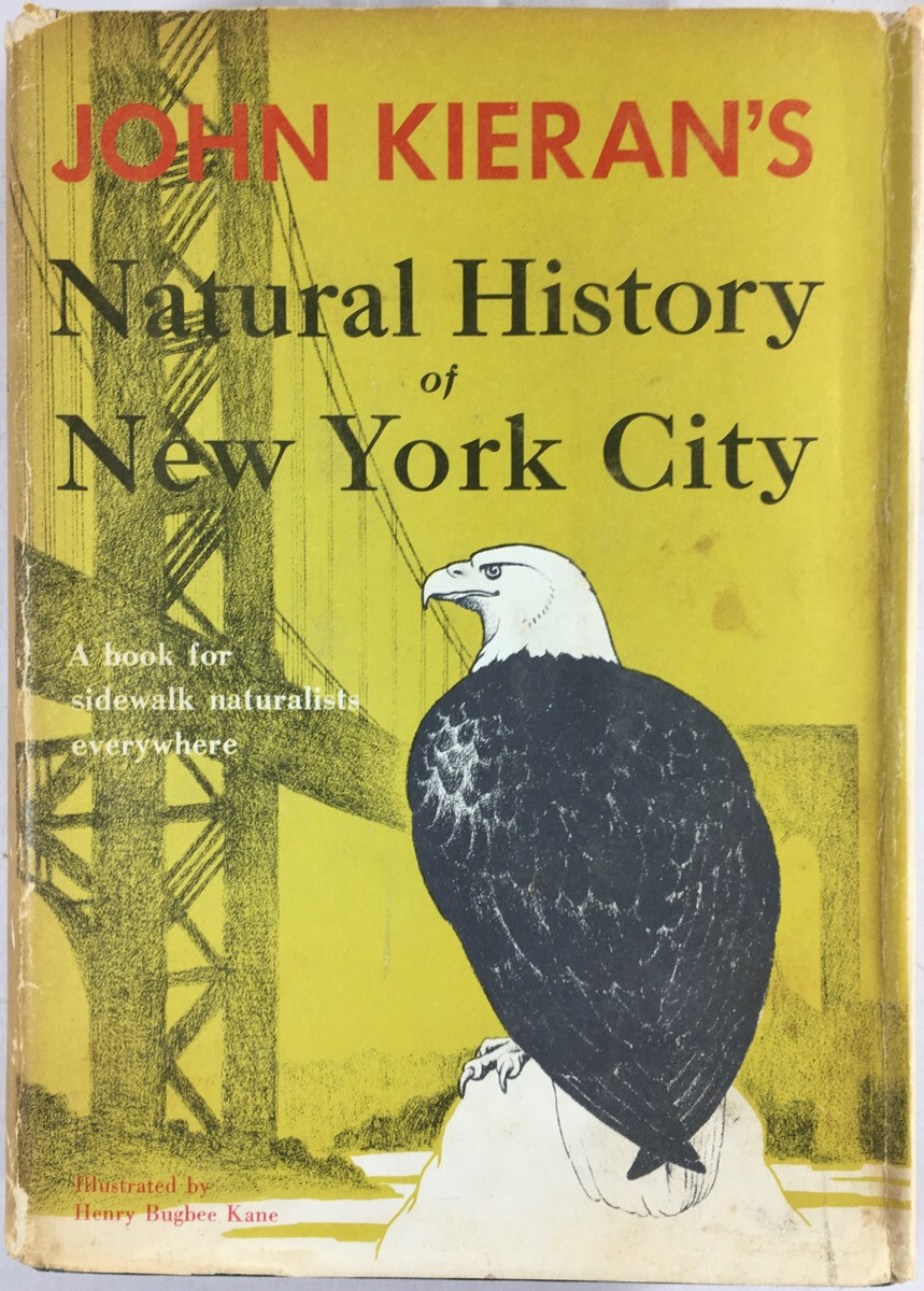 New York City Animals Natural History of Sidewalk Naturalist Nature Memoir