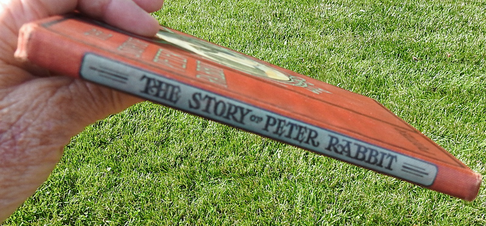 The Story of Peter Rabbit Beatrix Potter 1st Red Book Edition 1908 John Neill