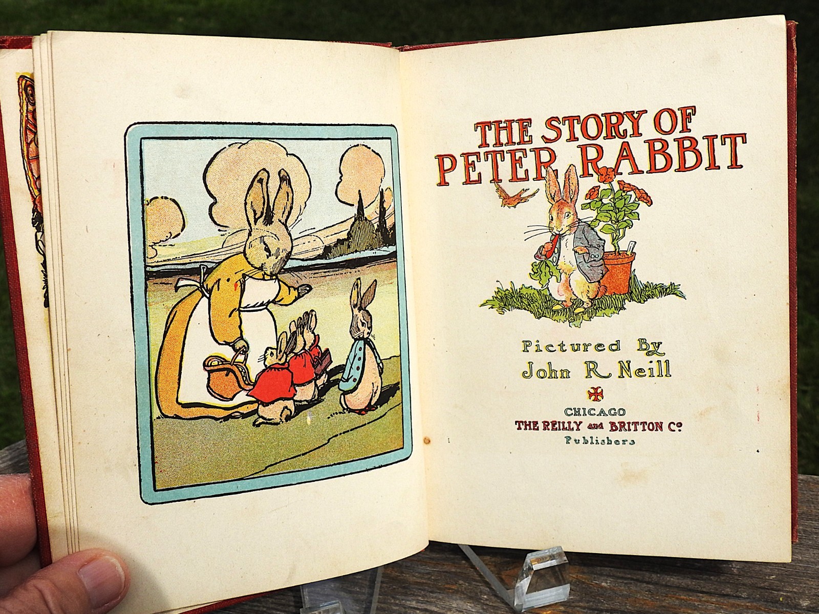 The Story of Peter Rabbit Beatrix Potter 1st Red Book Edition 1908 John Neill