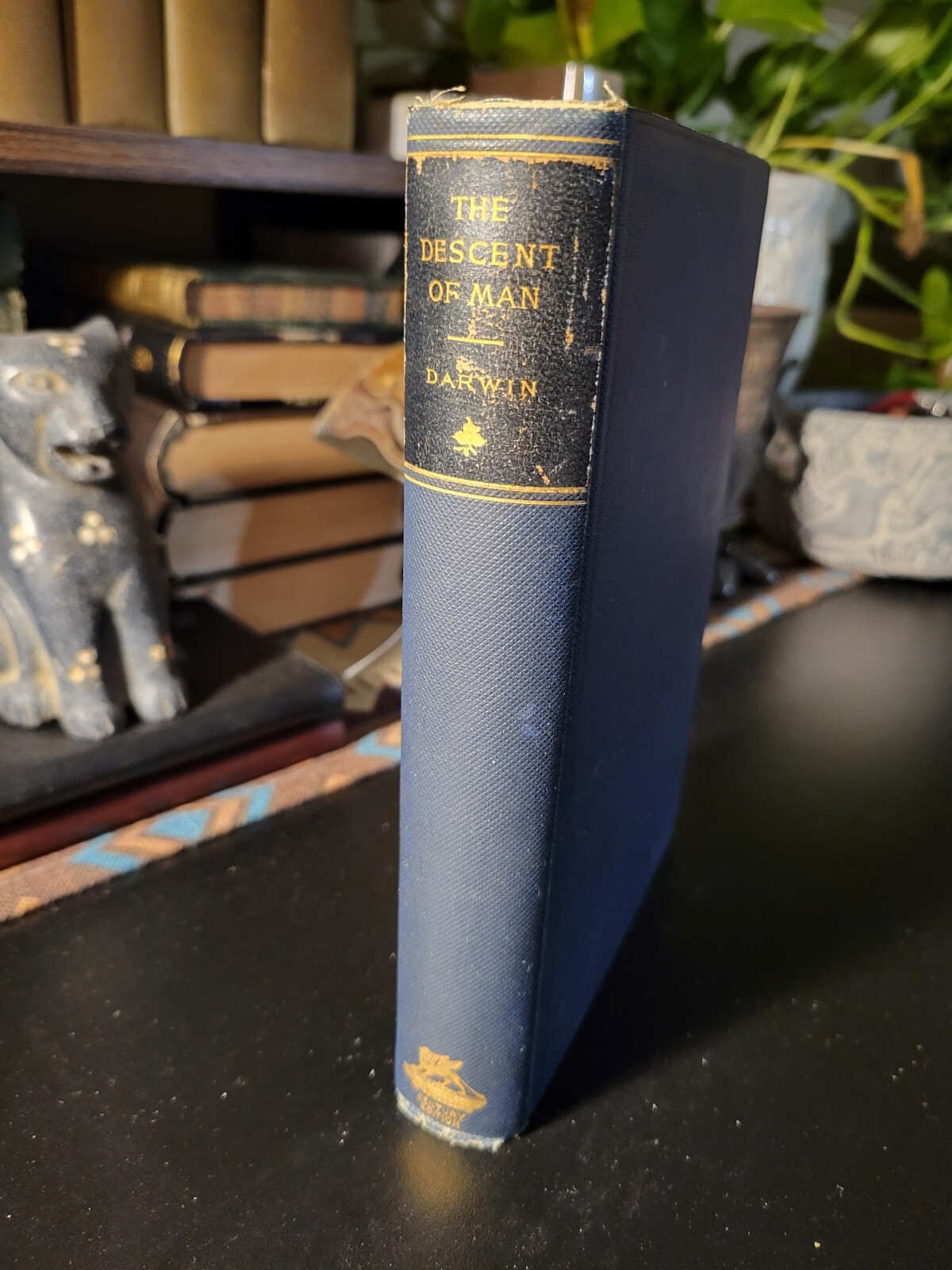 The Descent of Man – Charles Darwin (1874?) – 2nd ed. – VERY GOOD