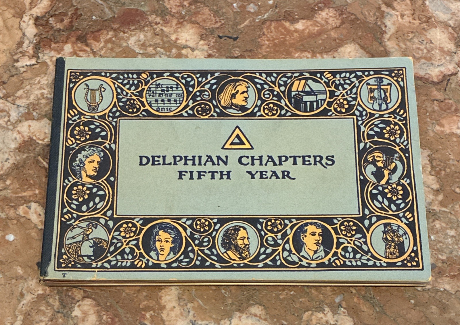 Book Set Delphian Text + Workbooks Women Education Illustrated Antique Complete