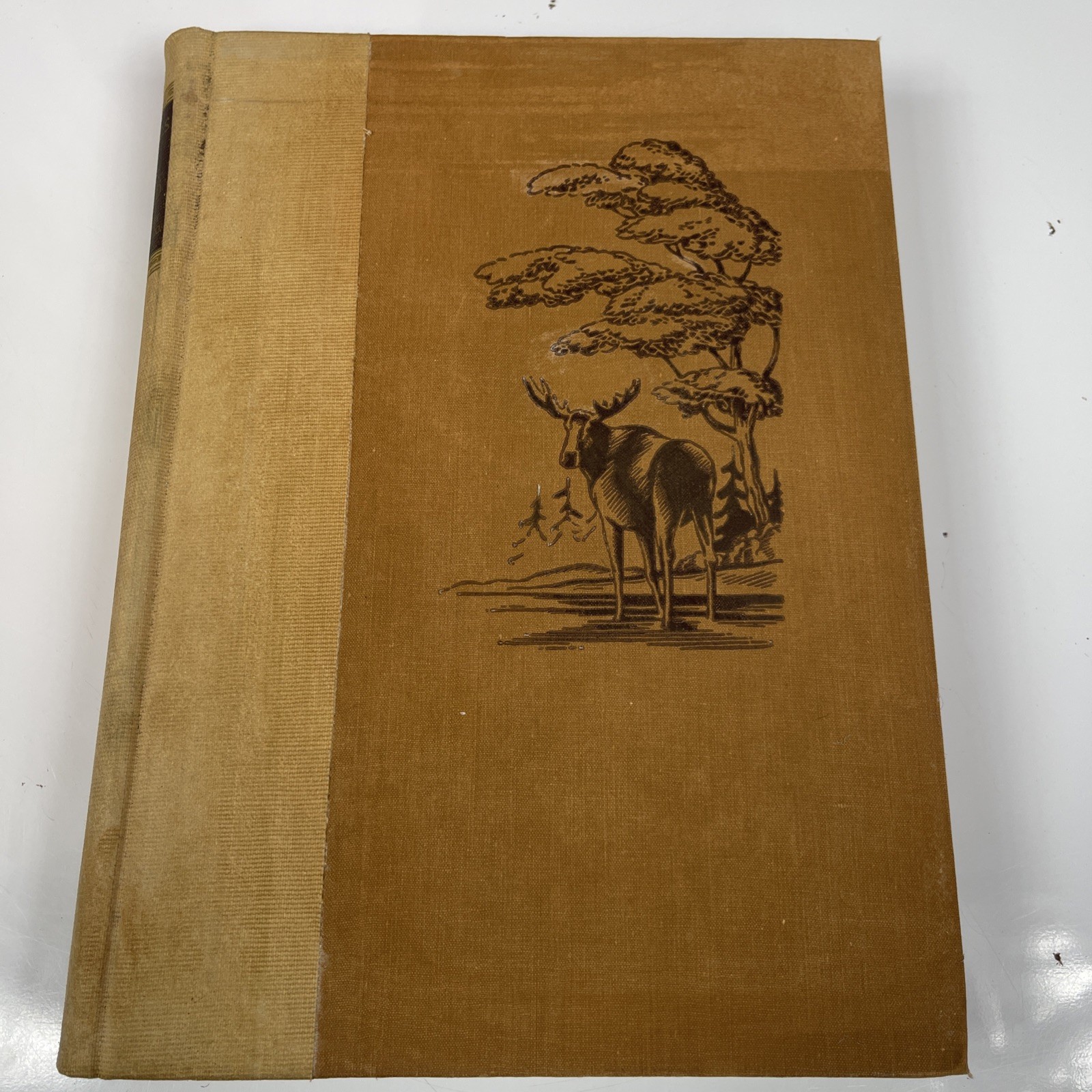 Animals of the World Garden City Publishing 1947