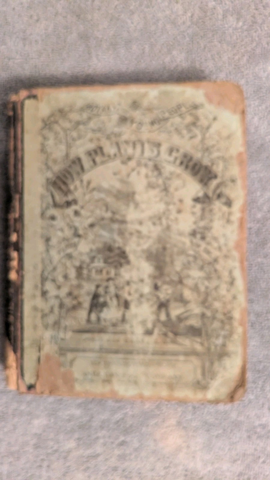 Asa Gray, HOW PLANTS GROW, American Book Company, 1858, HB, Botany for the Young