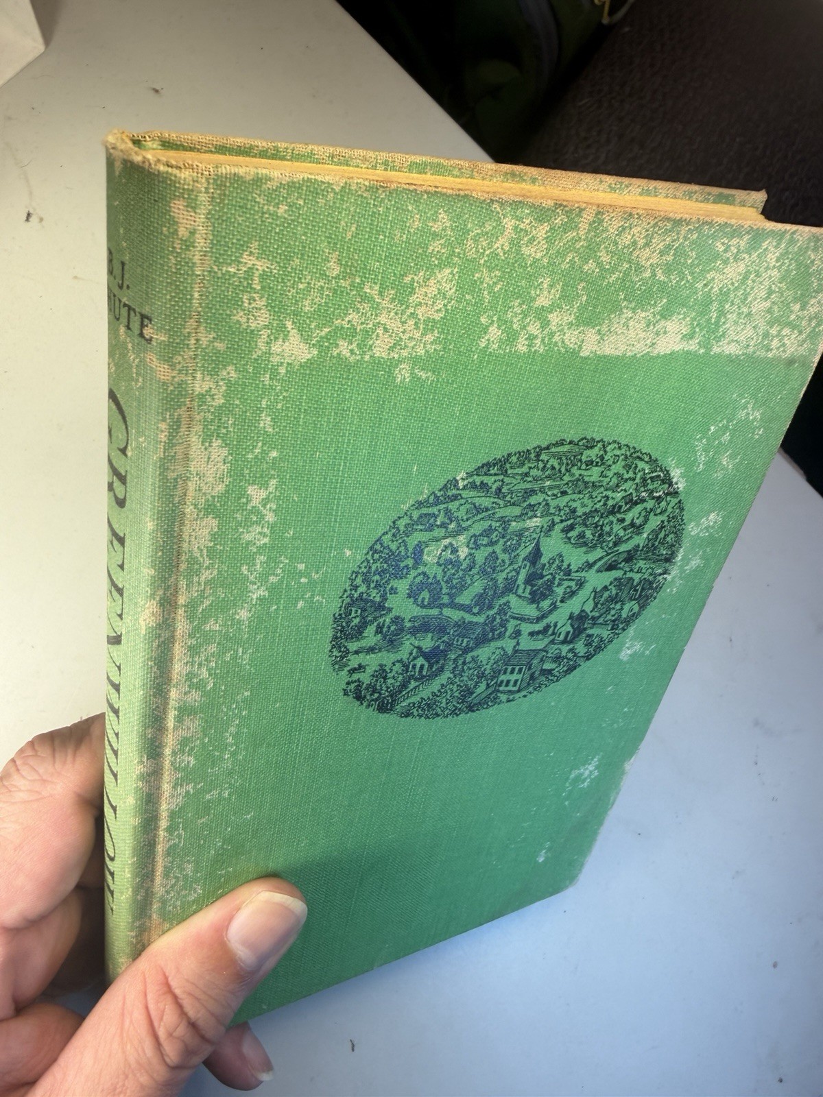 Greenwillow by B.J. Chute – 1956 Hardcover – E. P. Dutton & Co. – First Edition