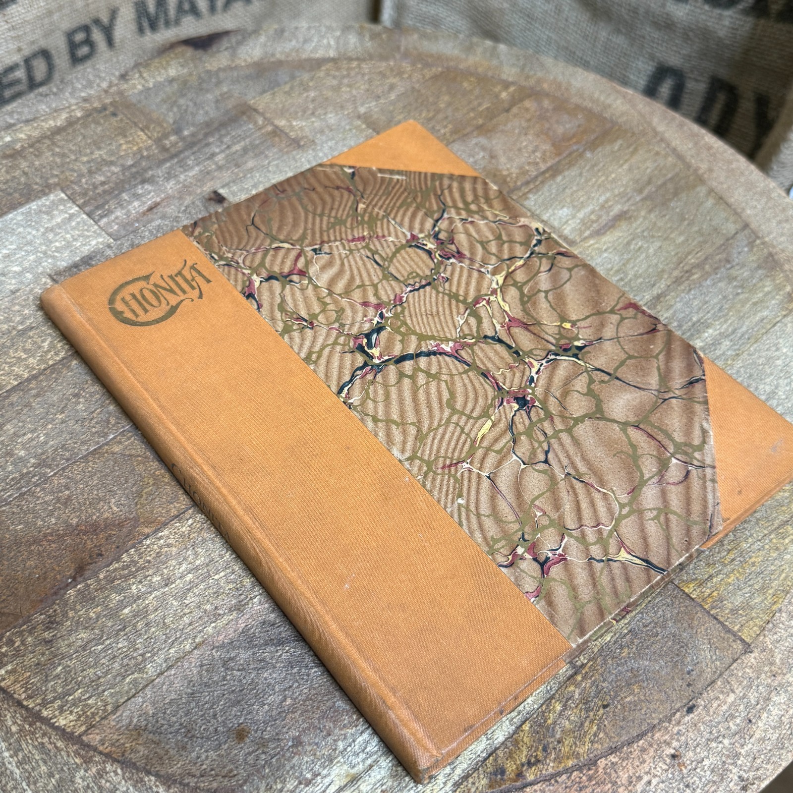 Antique 1898 Chonita Story of the Mexican Mines Anna Maria Barnes Illustrated