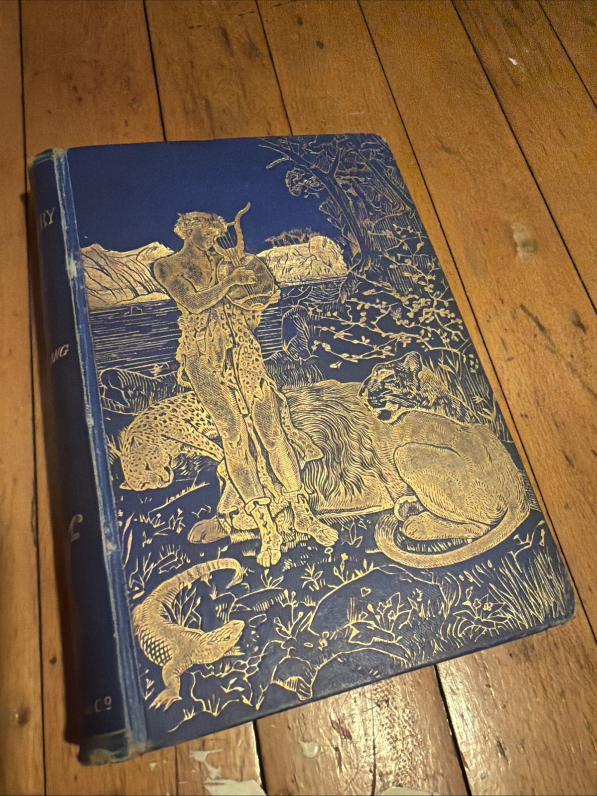 The Blue Poetry Book Andrew Lang 1891 First Edition Illustrated H J Ford Antique