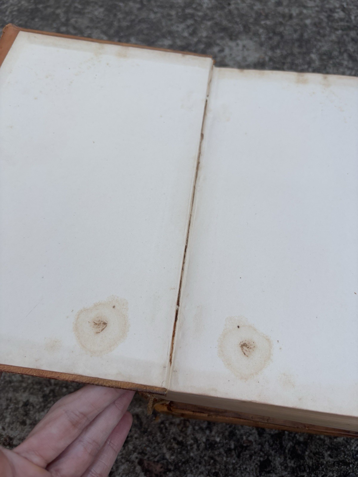 The Lawyers Reports Annotated 1909 18 19 & 20 Leatherback Books