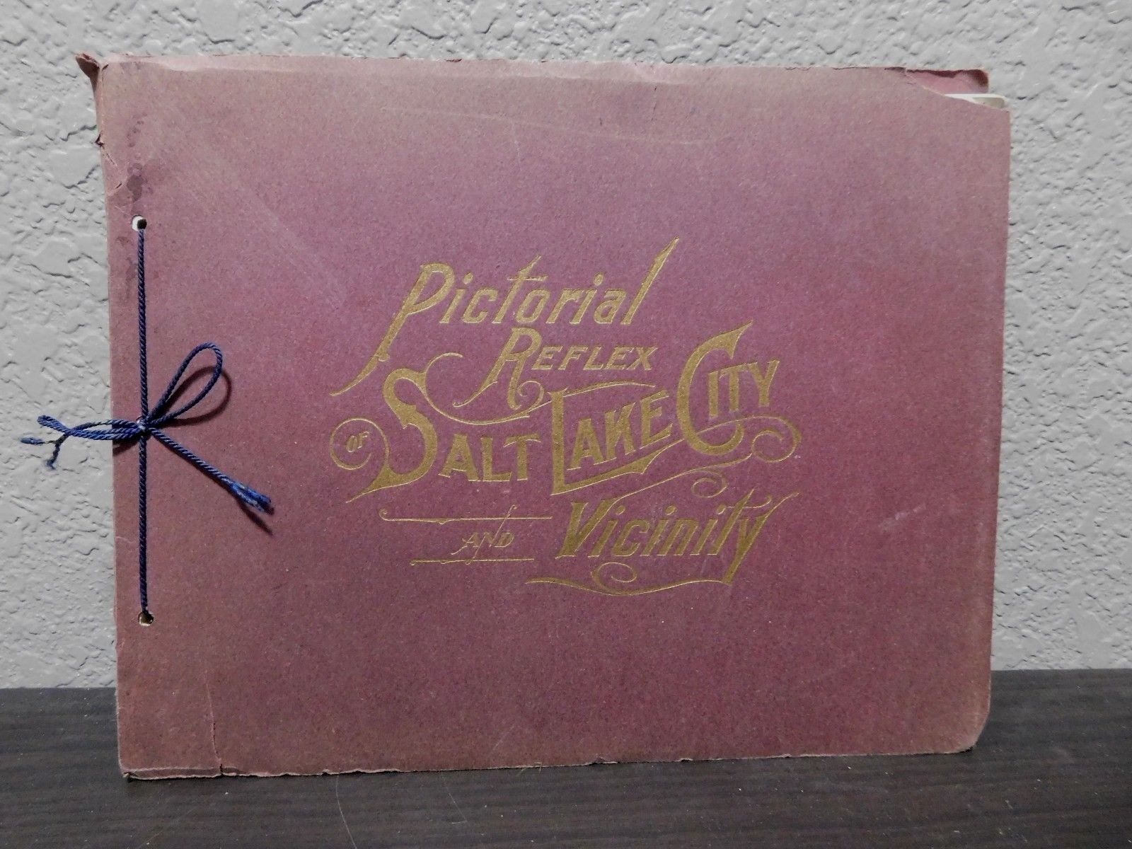 1901 PICTORIAL REFLEX of SALT LAKE CITY and VICINITY C. R. Savage UTAH