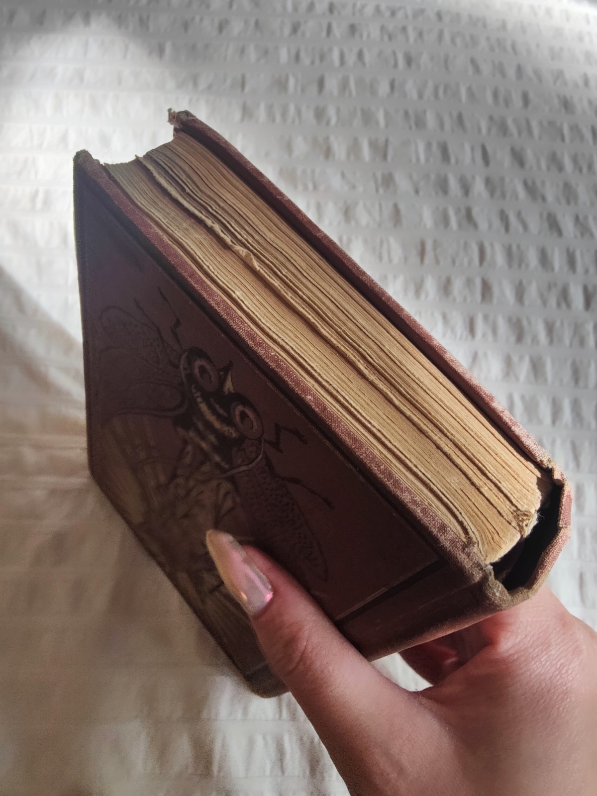 Old English Fairy Tales collected by S. Baring Gould illustrated, c.1890-1900