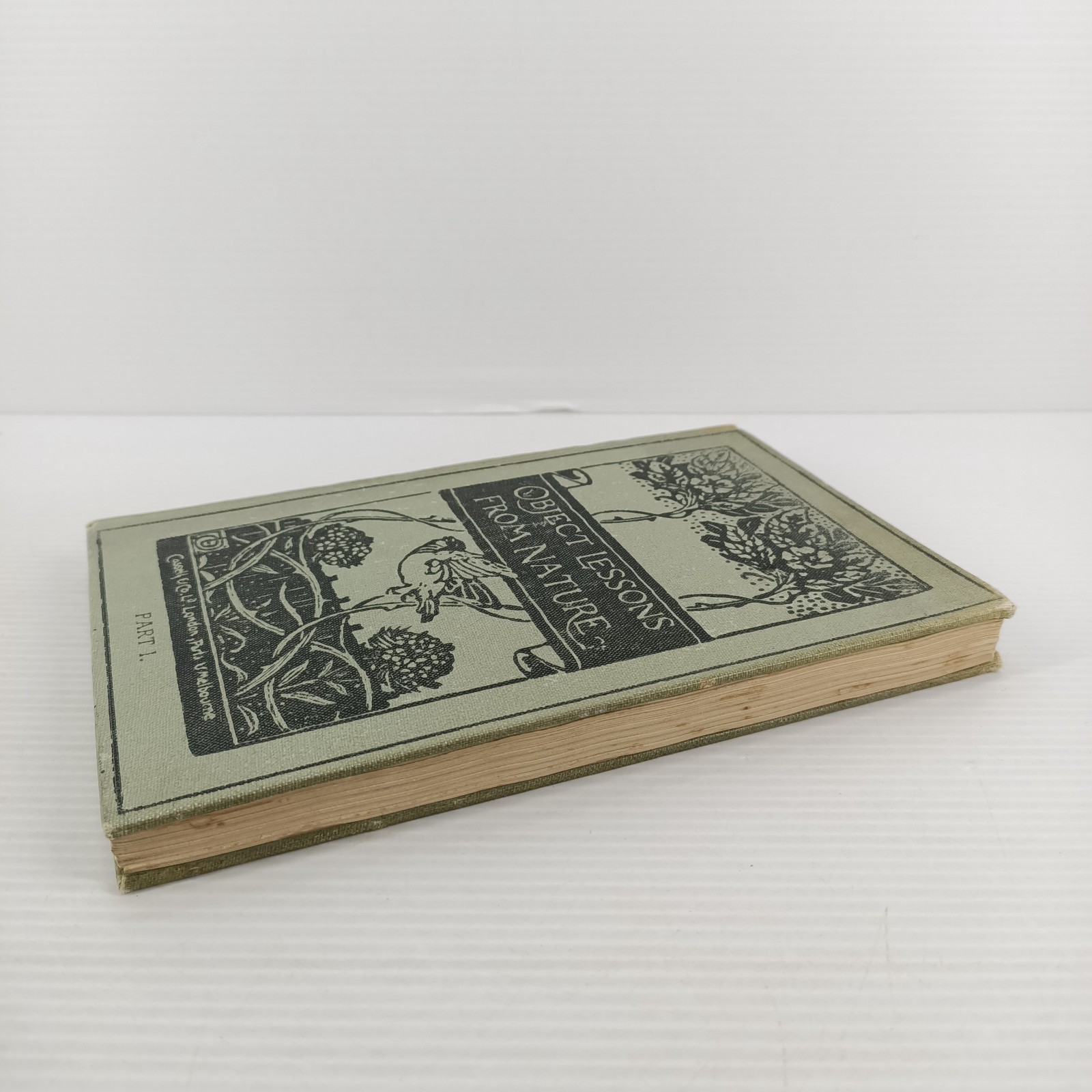 Object Lessons From Nature Part 1 A First Book Of Science L C Miall 1911 Antique