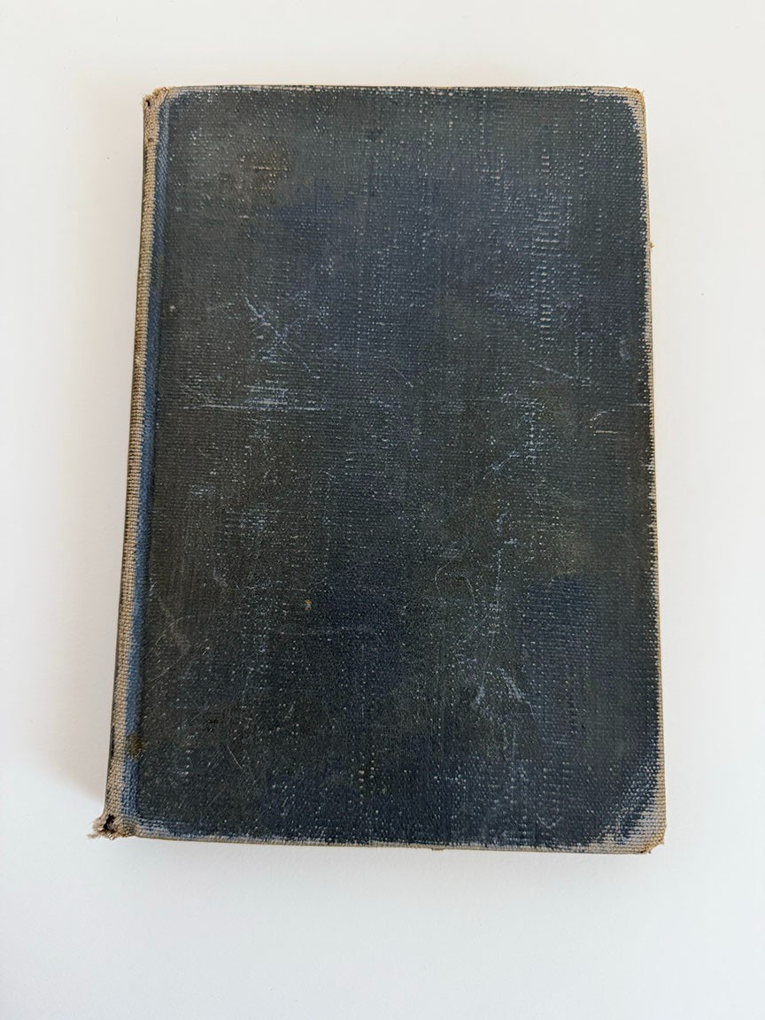 Twin Travelers in India – vintage hardback
