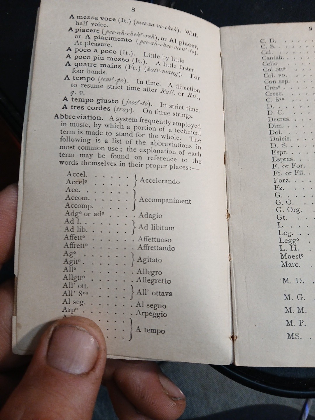 Pronouncing Musical Dictionary H.A. Clarke SC 132 PGS