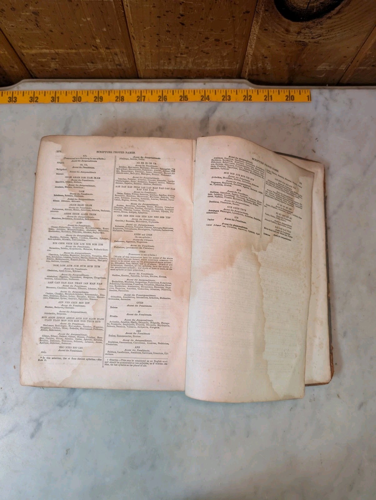 An American Dictionary Noah Webster ‘s 1846 Harper & Brothers Abridged Antique