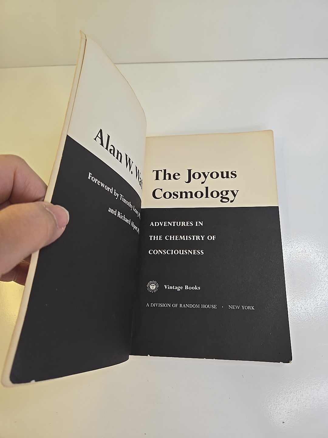The Joyous Cosmology by Alan W. Watts 1962 Trade Paperback LSD. G-319