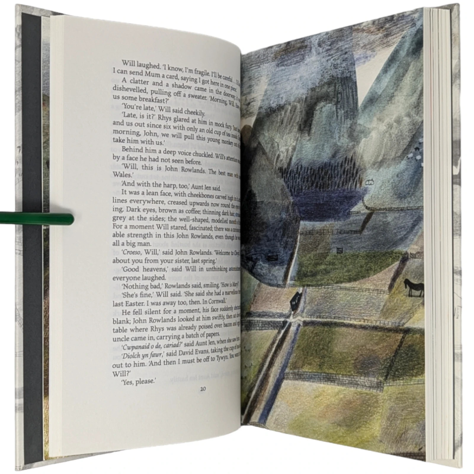 The Grey King SUSAN COOPER Illustrated FOLIO SOCIETY 2012 Dark Is Rising Series
