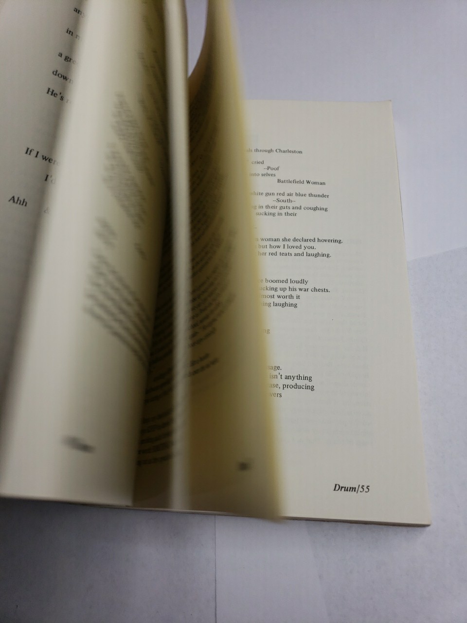 None of the Above, New Poets Of the USA, Patti Smith, Alice Notley, Joe Brainard