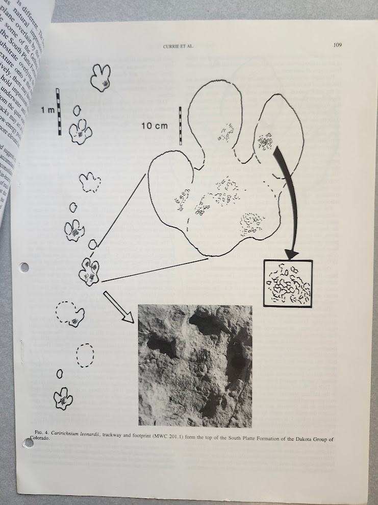 Philip J. Currie & Others Cretaceous Dinosaur Fossil +MORE Reprint Collection !!