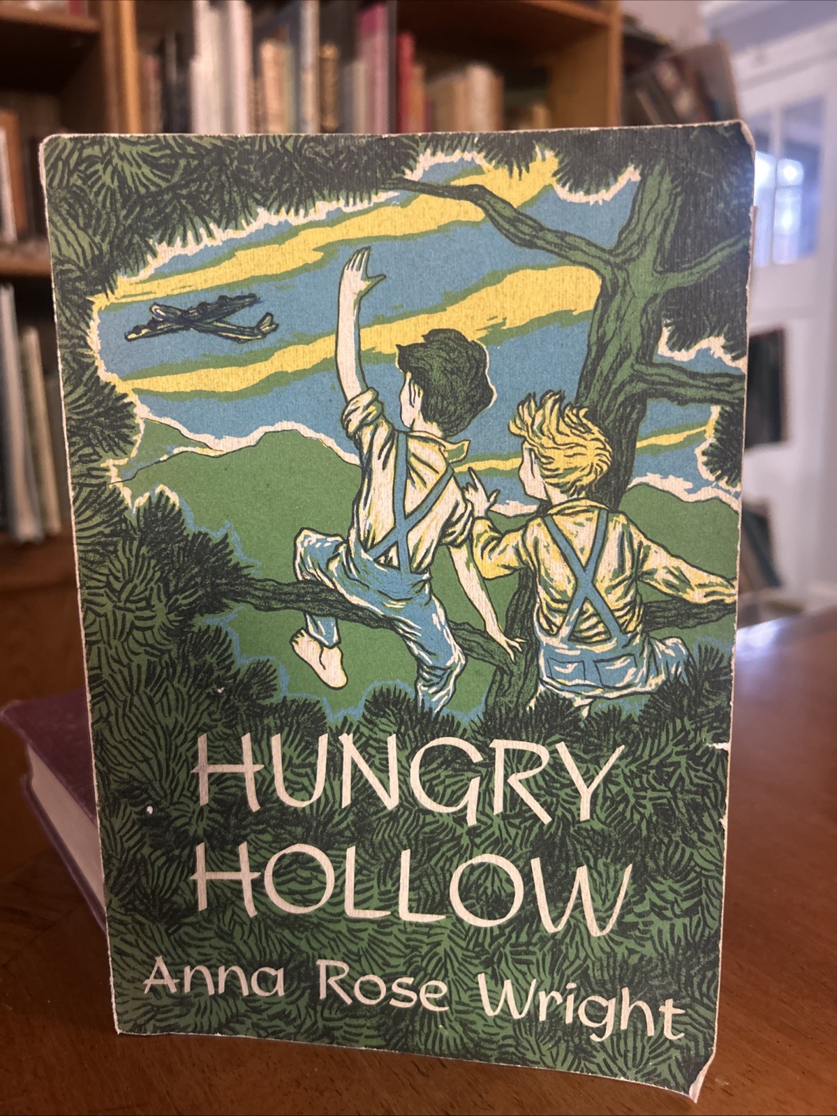 Hungry Hollow; by Anna Rose Wright (1951 Trade Paperback) 1st Ed